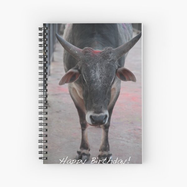 Holy Cow Birthday Spiral Notebook
