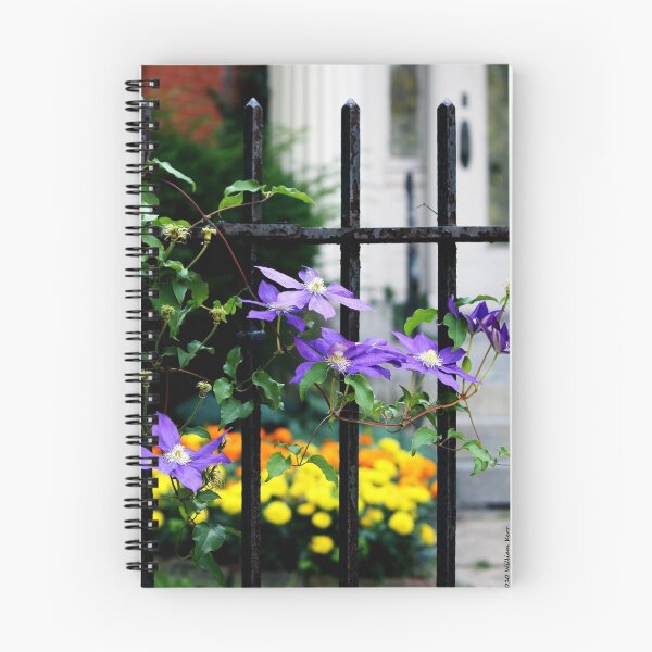 Item preview, Clematis and Iron designed and sold by BillK.