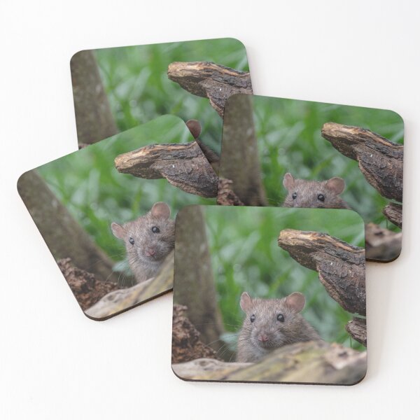 Item preview, Peeping rodent designed and sold by iCimages.net.