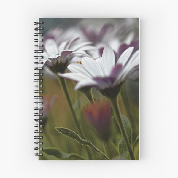 Item preview, African Daisies in the Summer Breeze designed and sold by T.J. Martin.