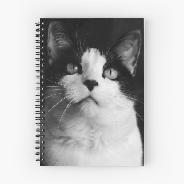 Item preview, The Cat designed and sold by StuttgenStudios.
