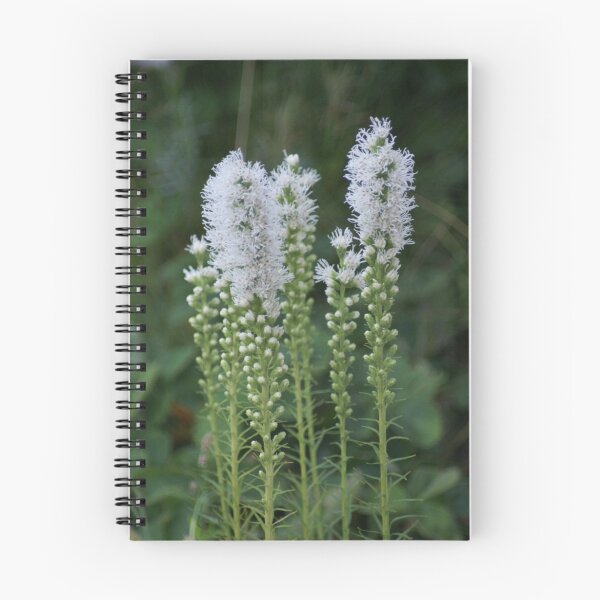Item preview, Some White Blooms designed and sold by Loisb.