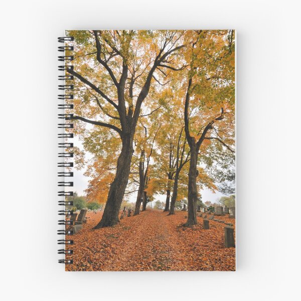 Item preview, Autumn Cemetery designed and sold by ApertureArtist.