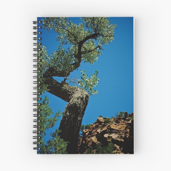 Item preview, Twisted Tree designed and sold by Paul Roach.