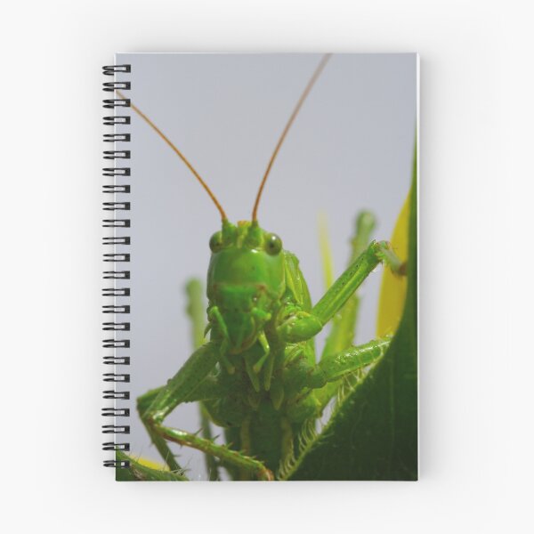 Item preview, Grasshopper designed and sold by Régis Charpentier.