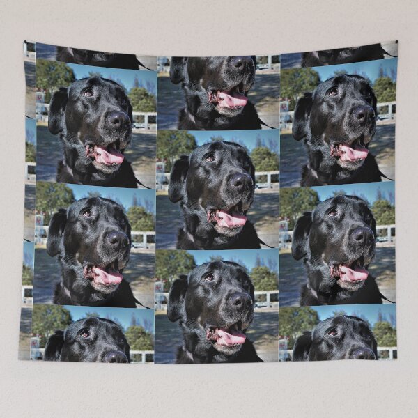 Item preview, Max the black Labrador designed and sold by Giro Tavitian.