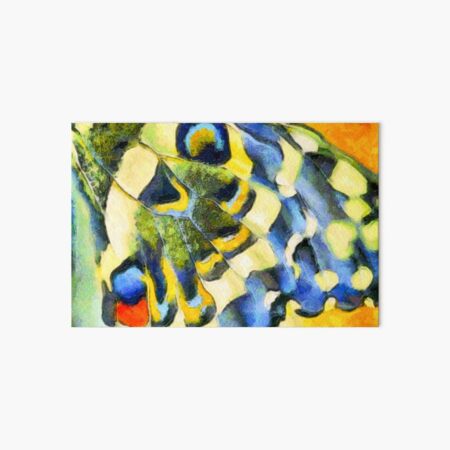 Old World Swallowtail Butterfly wing Art Board Print