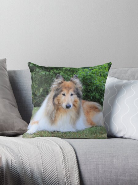 Item preview, Sable Rough Collie designed and sold by KarenWoodArt.