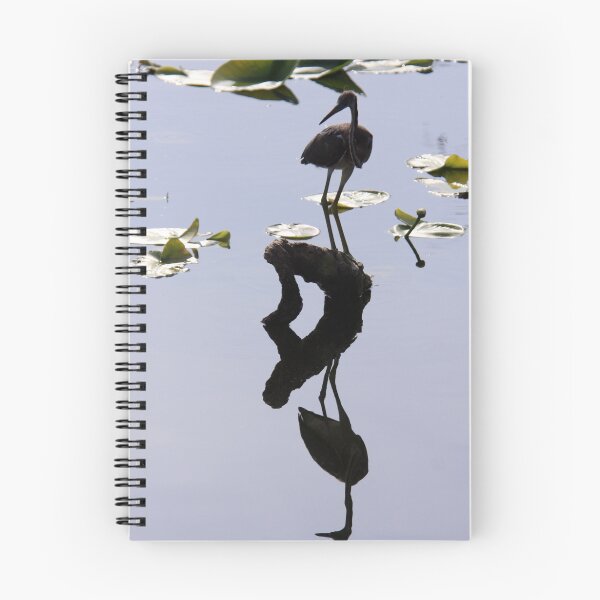 Item preview, reflection designed and sold by rowephoto.