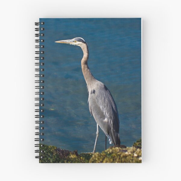 Item preview, Great Blue Heron - Puget Sound designed and sold by Barb White.