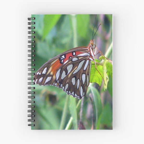 Item preview, Gulf Fritillary designed and sold by DottieDees.