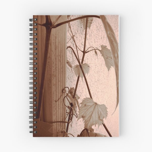 Item preview, Summer Vine, Saint Paul designed and sold by Timothy Wilkendorf.