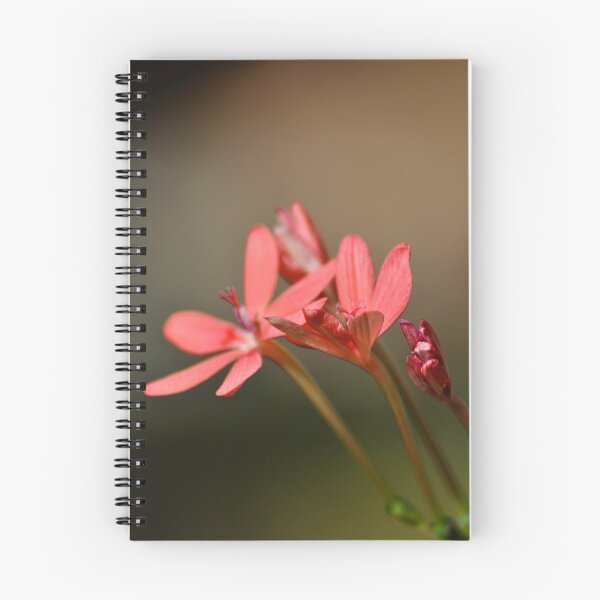 Item preview, flame freesia designed and sold by gary roberts.