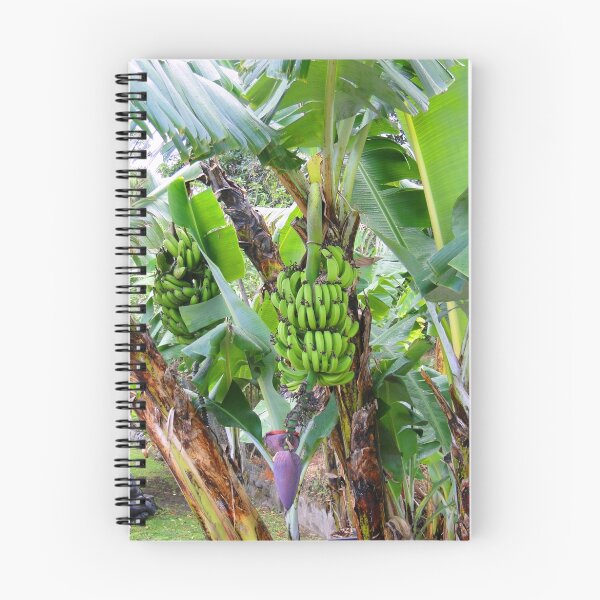 Item preview, Lush Boquete II designed and sold by ABPhotoArt.