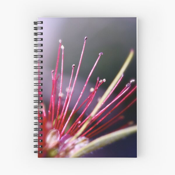 Item preview, Perth Grevillia Flower designed and sold by Heather-Jayne.