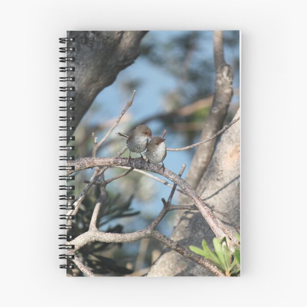 Item preview, Wildlife - Cromwell Park, NSW designed and sold by Steven Yu.