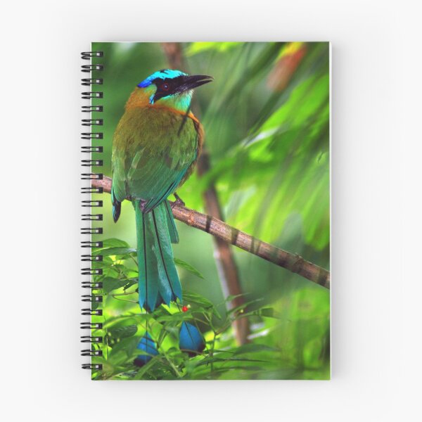 Item preview,  Costa Rica designed and sold by Jason Weigner.