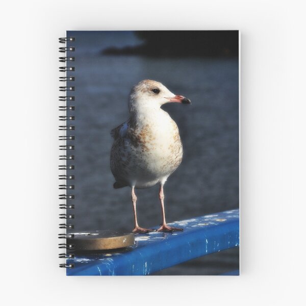 Item preview, At the Marina designed and sold by SamTheCowdog.