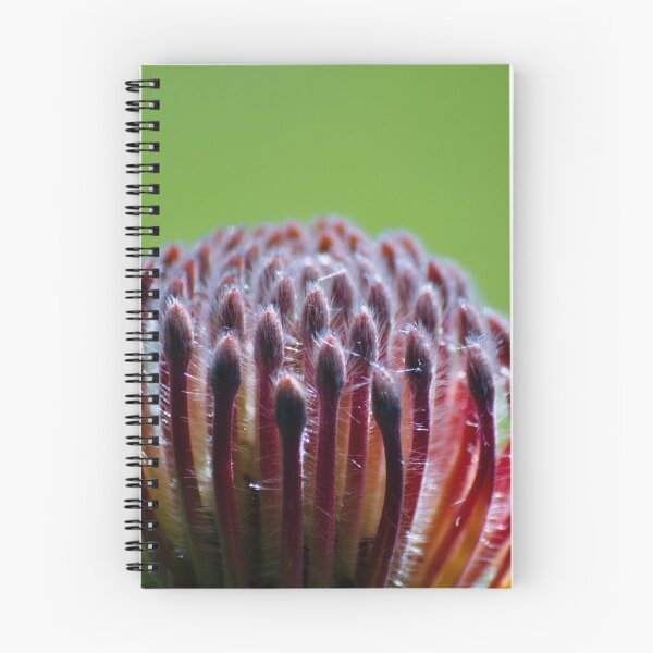Item preview, protea ii designed and sold by gary roberts.