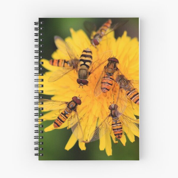 Item preview, A Hoverfly Feast designed and sold by jennimarshall.