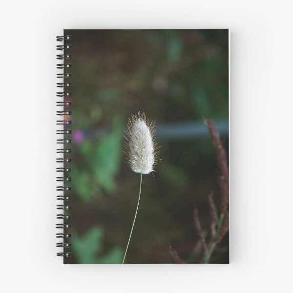 Item preview, bunny tail grass designed and sold by Declan Carr.