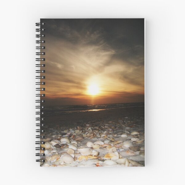 Item preview, Seashells.... designed and sold by Tgarlick.