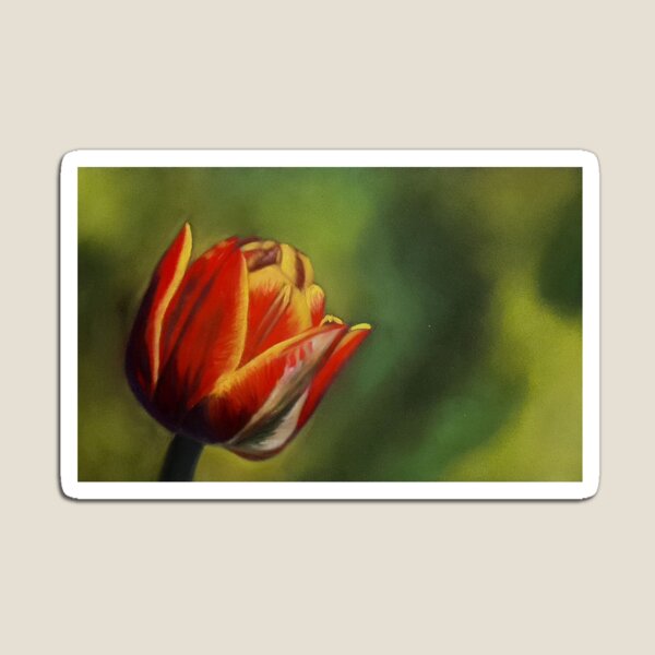 Tulip Magnet