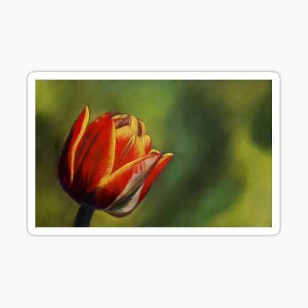 Item preview, Tulip designed and sold by xrissart.