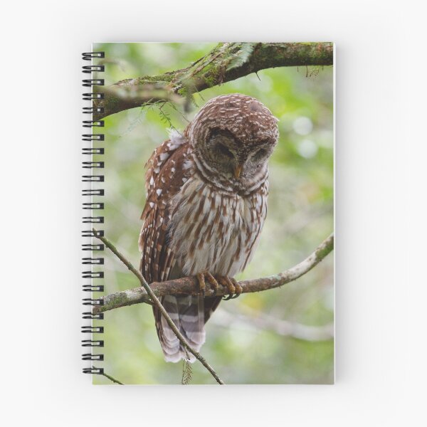 Item preview, Barred Owl designed and sold by Joe Elliott.