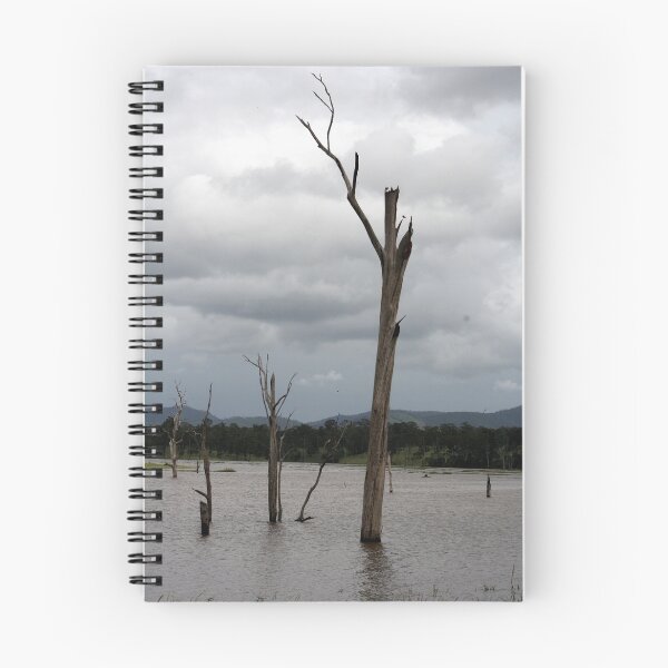 Item preview, Backwaters of Sommerset Dam designed and sold by lynmel.
