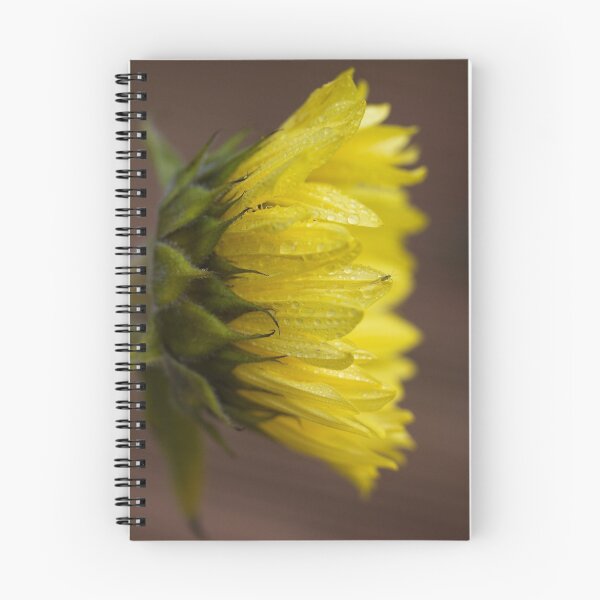 Item preview, Sunshine And Rain designed and sold by Lynne Morris.