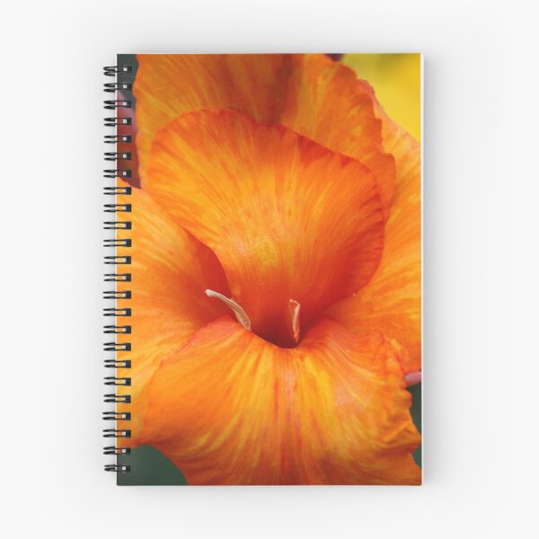 Item preview, Gladiolus designed and sold by tonni.