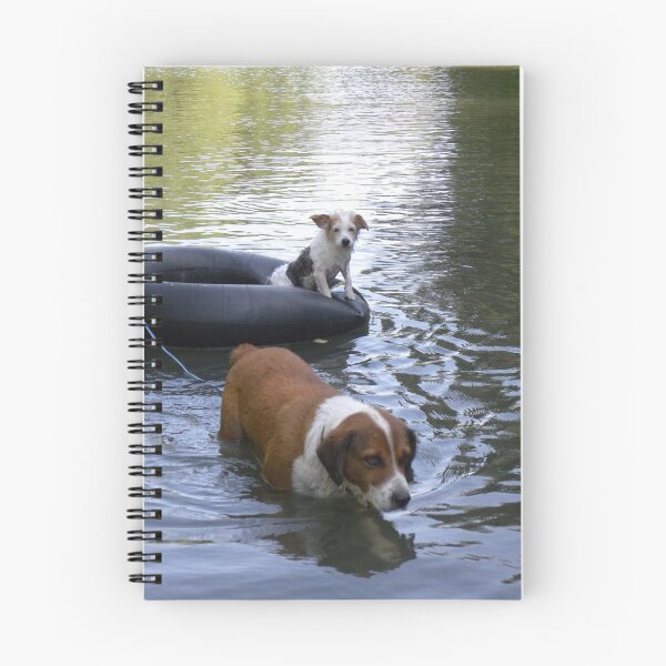 Item preview,  NOT Happy When Buddy Gets More Attention designed and sold by NatureGreeting Cards ©ccwri.
