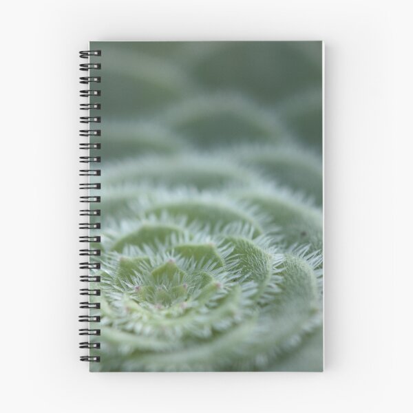 Item preview, Saucer Plant designed and sold by Etwin.