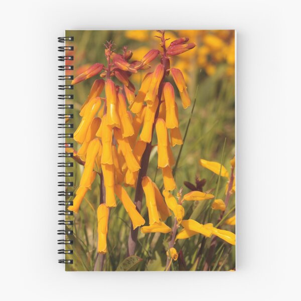 Item preview, Lachenalia designed and sold by Etwin.