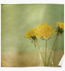 Dandelion Wine Poster