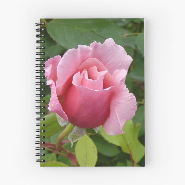 Item preview, Simply a Rose designed and sold by Colin Metcalf.