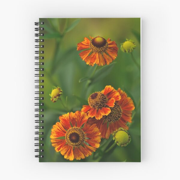 Item preview, Summer Is Here - Helenium designed and sold by JHRphotoART.