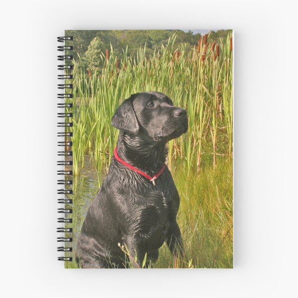Item preview, My Dog Brody designed and sold by mikepaulhamus.