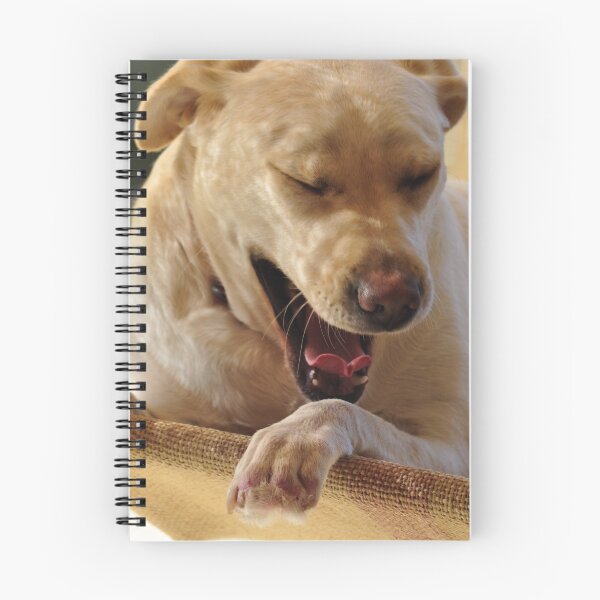 Item preview, Labrador Dog with No Toes designed and sold by Rob Moffatt.