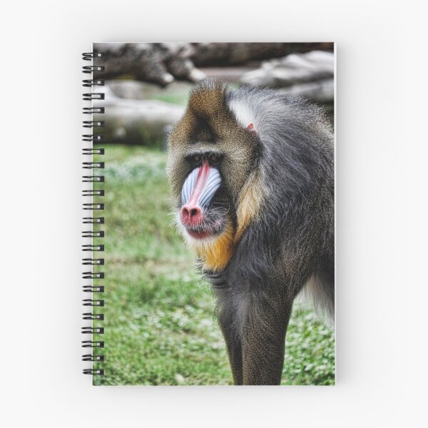 Item preview, The Mandrill  designed and sold by Saija  Lehtonen.