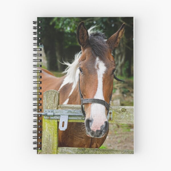 Item preview, Hamish designed and sold by AndrewJonesFoto.