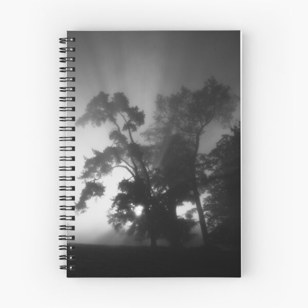 Item preview, Trees in the Mist designed and sold by Ray Allen.