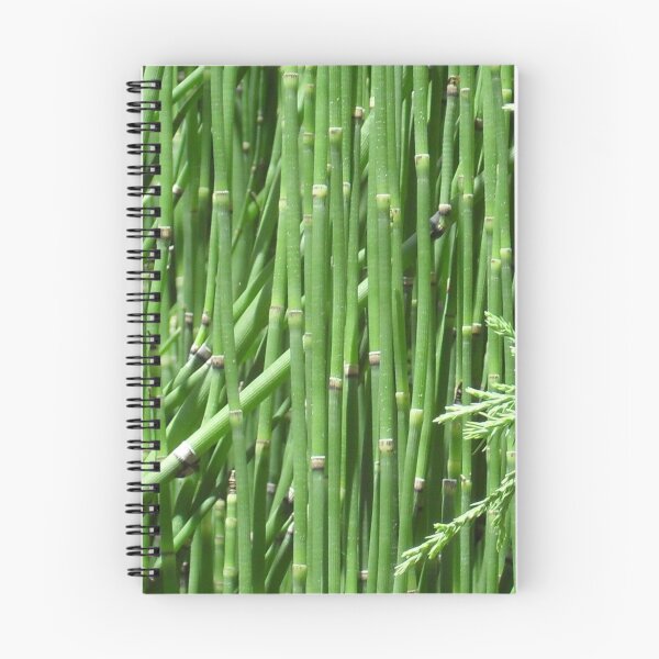 Item preview, The Horsetail Forest designed and sold by Navigator.