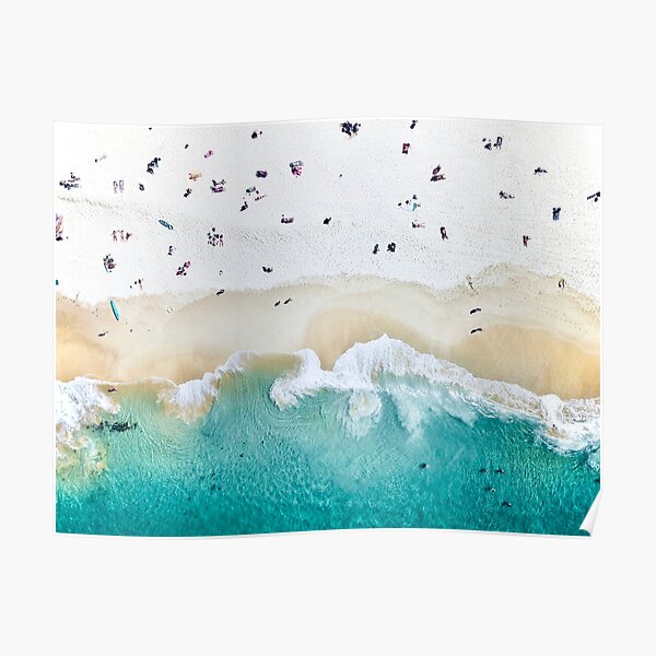 Summer Vibes Poster