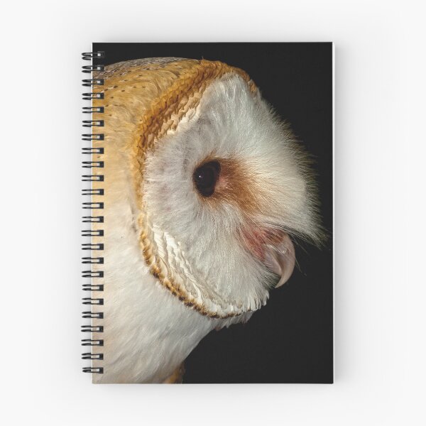 Item preview, Barn owl profile designed and sold by Shaun Whiteman.