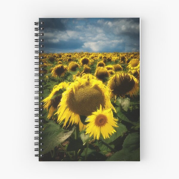 Item preview, Rays of Sunshine designed and sold by Matt Sillence.
