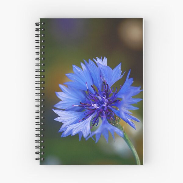 Item preview, Blue designed and sold by Declan Carr.