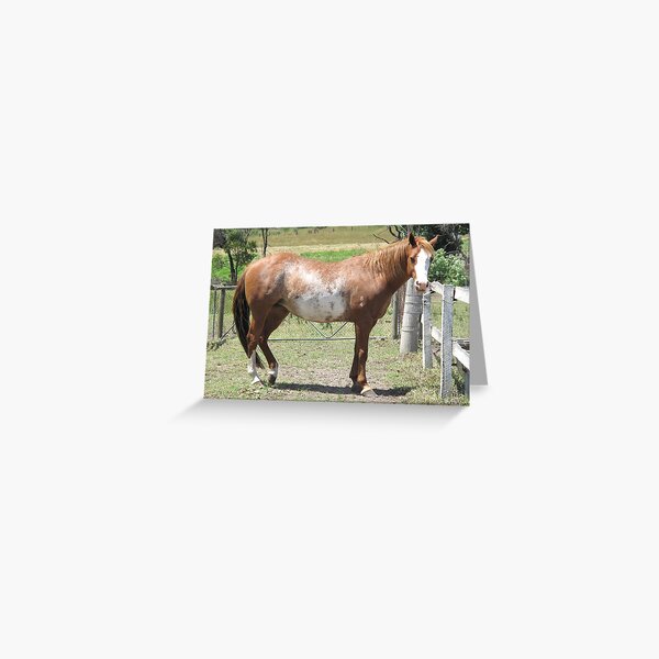 Vista previa del artículo con la obra «Sabino Paint Mare», diseñado y vendido por Skyhorse.