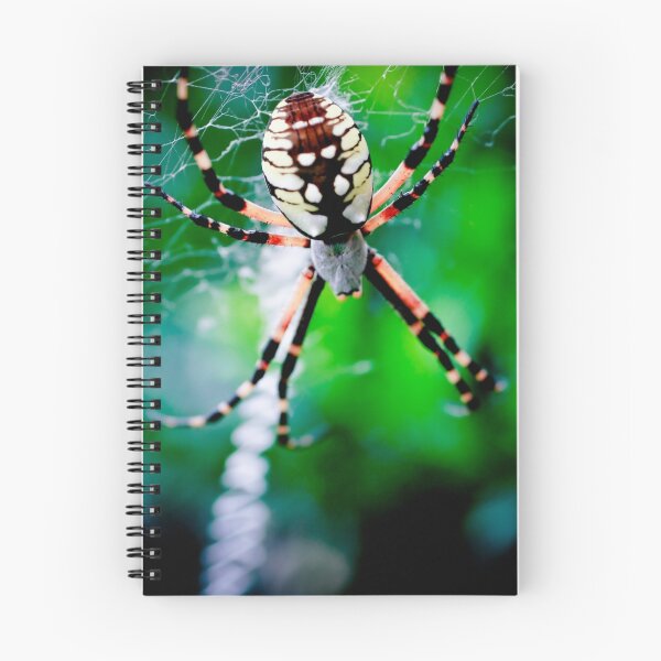 Aperçu de l'œuvre Writing Spider #3 créée et vendue par Chris Summerville.